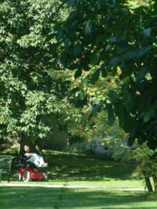 Park der Ruhrtalklinik